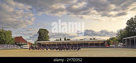 Landgestüt Warendorf, Hengstparade, Jacobowski Quadrille Stockfoto