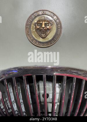 Historisches altes Wappenlogo mit Kopf von Jaguar und Schriftzug Jaguar Cars Ltd Coventry auf beigefarbener Motorhaube eines Oldtimers Jaguar, inkl. Stockfoto