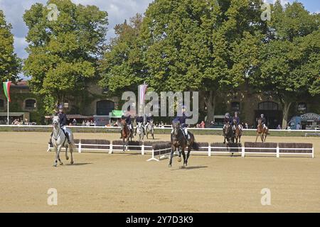 Warendorf State Stud, Hengstparade, springender Quadrille Stockfoto