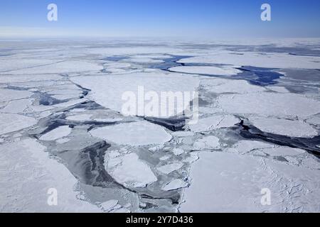 Packeis, Blick aus der Luft, im Winter Magdalen Inseln, St. Lawrence Golf, Quebec, Kanada, Nordamerika Stockfoto