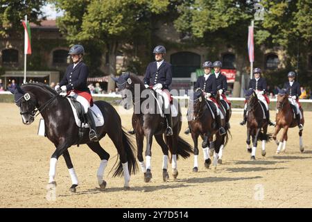 Warendorf State Stud, Hengstparade, Dressursextet Stockfoto