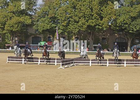 Warendorf State Stud, Hengstparade, springender Quadrille Stockfoto