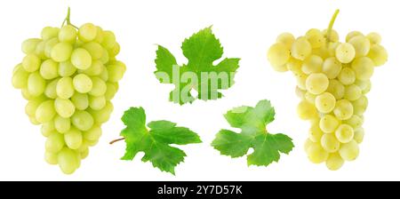 Sammlung von weißen Trauben Früchten und Blättern isoliert auf weißem Hintergrund Stockfoto