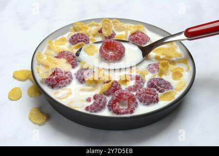 Himbeeren und Cornflakes mit Milch in einer Schüssel, Rubus idaeus Stockfoto