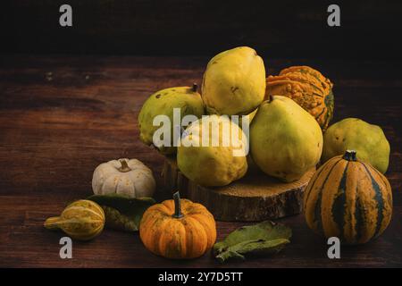 Stillleben mit Kürbissen und Quitten auf einem Holztisch, herbstliche Atmosphäre Stockfoto
