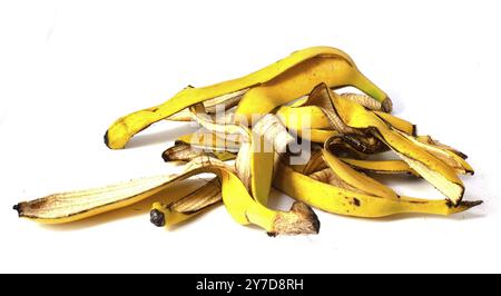 Ein Haufen Bananenschalen, organischer Obstabfall auf weißem Hintergrund Stockfoto