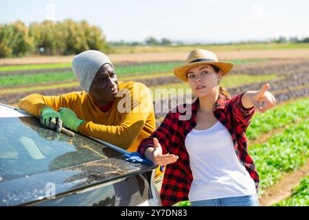 Landarbeiter reden in der Nähe von Auto auf dem Feld Stockfoto