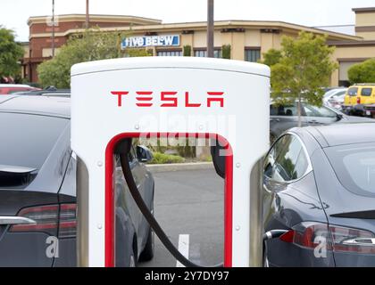 Alameda, KALIFORNIEN - 25. Mai 2024: Nahaufnahme der Tesla Supercharging Station an EV angeschlossen. Tesla Kompressorstationen ermöglichen eine schnelle Aufladung von Tesla-Fahrzeugen Stockfoto