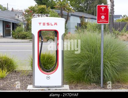 Alameda, KALIFORNIEN - 25. Mai 2024: Nahaufnahme der Tesla Supercharging Station. Tesla Supercharger Stationen ermöglichen das schnelle Aufladen von Tesla Autos über das Netzwerk wi Stockfoto