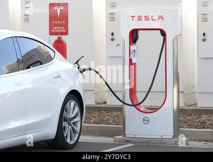 Coalinga, KALIFORNIEN - 29. Mai 2024: Autoladung an einer Tesla Supercharging Station im Harris Ranch Resort des 5 fwy in Zentralkalifornien. Stockfoto