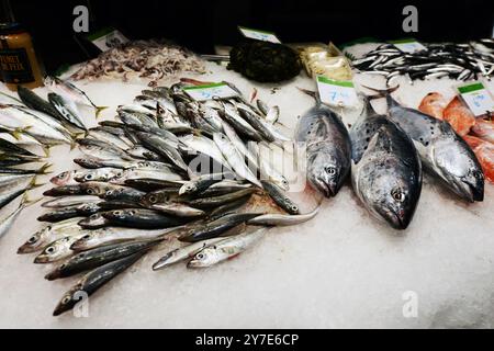 Frischer Fisch in einem Geschäft im Mercat de la Boqueria in Barcelona, Spanien. Stockfoto