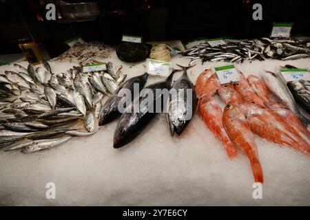 Frischer Fisch in einem Geschäft im Mercat de la Boqueria in Barcelona, Spanien. Stockfoto