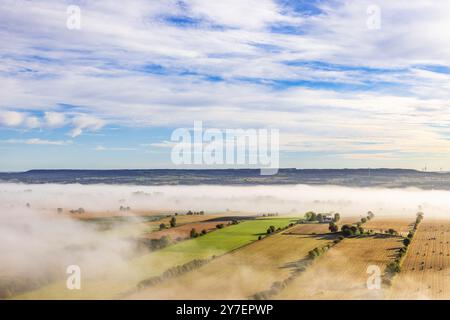 Blick auf die ländliche Landschaft mit von Bäumen gesäumten Feldern und Nebel Stockfoto