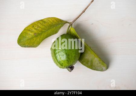 Eine frische Guave mit zwei grünen Blättern auf einer hölzernen Oberfläche. Draufsicht. Stockfoto