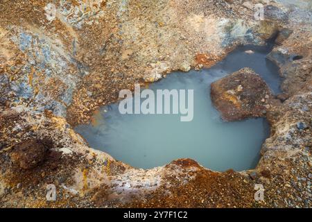 Das geothermische Gebiet von Hveradalir in Island an einem Nebelsommertag Stockfoto