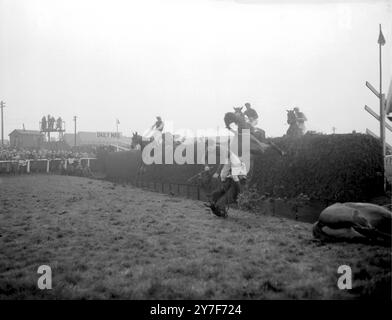 Das Pferd, das den größten Teil des Feldes im Grand National Steeplechase Surprise Packet unter G Scott führte, fällt am Bechers Brook. Sieger war Oxo. Nur vier Pferde schafften es, das Rennen zu beenden. März 1959 Stockfoto