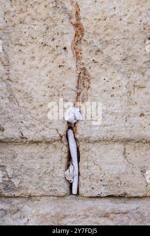 Winzige Zettel mit geschriebenen Gebeten zu Gott werden in die Risse der Westmauer in Jerusalem, Israel, eingefügt. Stockfoto