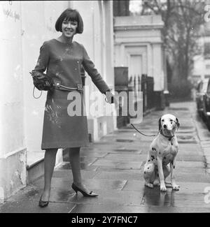 Mary Quant in Chelsea, London, 1963. (b. 1934.) Die Modekönigin der 1960er Jahre, die den Minirock und die Hot Hosen in die tägliche Kleidung brachte und Pionierarbeit für erschwingliche, lustige Mode für junge Menschen leistete. Mit ihrem dalmatinischen Haustier. Foto von George Douglas Stockfoto