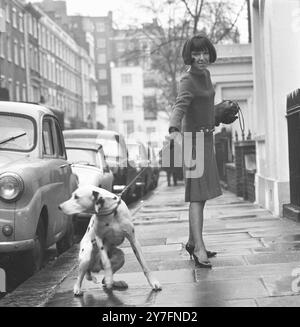 Mary Quant und dalmatinischer Hund in Chelsea, London, 1963. b. 1934. Die Modekönigin der 1960er Jahre, die den Minirock und die Hot Hosen in die tägliche Kleidung brachte und Pionierarbeit für erschwingliche, lustige Mode für junge Menschen leistete. Foto von George Douglas Stockfoto