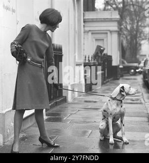 Mary Quant und dalmatinischer Hund in Chelsea, London, 1963. b. 1934. Die Modekönigin der 1960er Jahre, die den Minirock und die Hot Hosen in die tägliche Kleidung brachte und Pionierarbeit für erschwingliche, lustige Mode für junge Menschen leistete. Foto von George Douglas Stockfoto