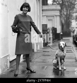 Mary Quant in Chelsea, London, 1963. (b. 1934.) Die Modekönigin der 1960er Jahre, die den Minirock und die Hot Hosen in die tägliche Kleidung brachte und Pionierarbeit für erschwingliche, lustige Mode für junge Menschen leistete. Mit ihrem dalmatinischen Haustier. Foto von George Douglas Stockfoto