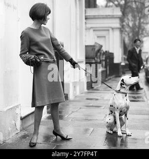 Mary Quant und dalmatinischer Hund in Chelsea, London, 1963. b. 1934. Die Modekönigin der 1960er Jahre, die den Minirock und die Hot Hosen in die tägliche Kleidung brachte und Pionierarbeit für erschwingliche, lustige Mode für junge Menschen leistete. Foto von George Douglas Stockfoto