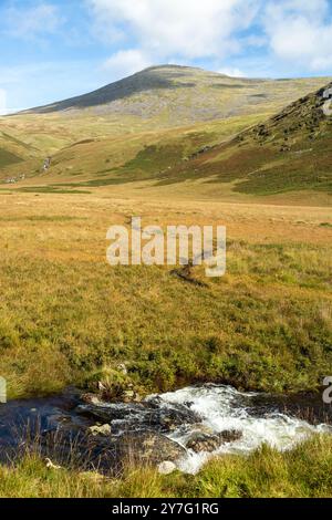 Blick auf Scafell Pike von Burnmoor in Eskdale, Cumbria, Lake District, England Stockfoto