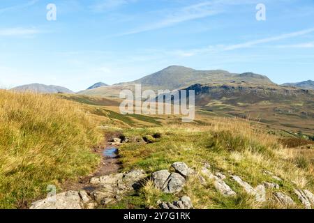 Blick auf Scafell Pike von Burnmoor in Eskdale, Cumbria, Lake District, England Stockfoto