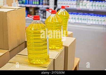 Autoscheiben-Reinigungs- und Frostschutzmittel in Kunststoffbehältern im Supermarkt. Sicherheit im Straßenverkehr Stockfoto