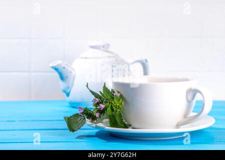 Taube Brennnessel Kräutertee in weißer Tasse, mit totem Brennnessel Zweig und Teekanne, Kopierraum Stockfoto