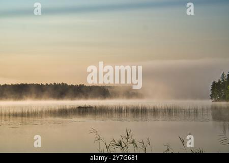 Sonnenaufgang mit Nebel über einem See in Schweden, bei Sonnenaufgang. Romantische Stille, in skandinavischer Natur Stockfoto