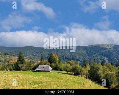 Altes hölzernes Dorfhaus auf einer malerischen grünen Wiese vor dem Hintergrund des Waldes. Traditionelle ruhige Waldlichtung mit rustikalem Holz Stockfoto