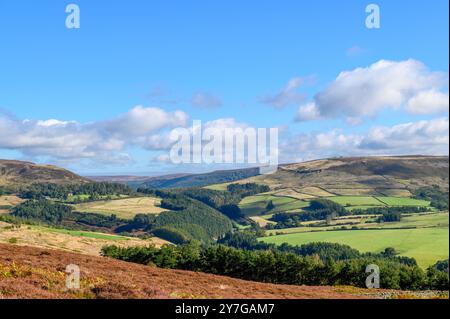 Upper Bilsdale und Urra Moor von oben gesehen, die North York Moors, Yorkshire. Stockfoto