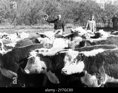 US-AMERIKANISCHER PRÄSIDENT LYNDON B JOHNSON MIT FREEMAN ORVILLE IN TEXAS / ; 25. NOVEMBER 1964 Stockfoto