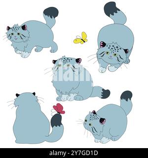 Große flauschige Wildkatzenmanul. Satz von Vektorillustrationen im Cartoon-Stil Stockfoto