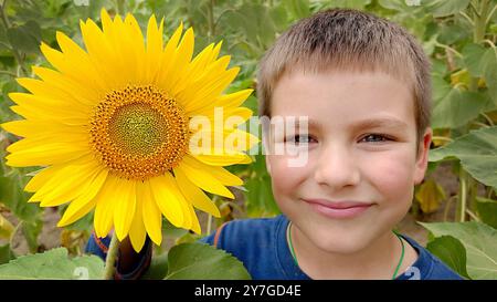 Ein Junge hält an einem Sommertag eine gelbe Sonnenblume in den Händen Stockfoto