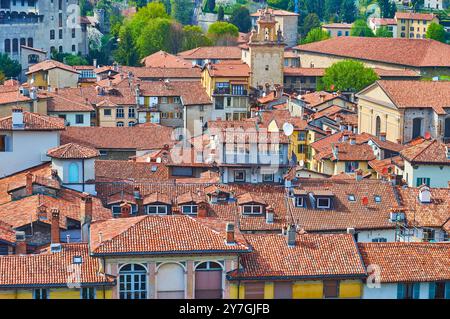 Der Blick von oben auf alte rote Ziegeldächer und den hohen Zitadellenturm (Campanella-Turm) im Hintergrund, Bergamo Alta, Italien Stockfoto