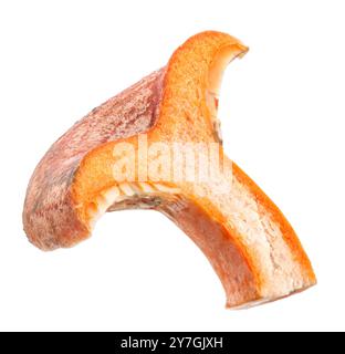 Die Hälfte des Safranmilchpilzes (Lactarius deliciosus), isoliert auf weißem Hintergrund. Stockfoto