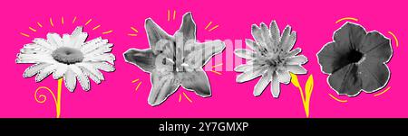 Gepunktete Halbtonblüten setzen Collage. Vektor realistisch strukturierte Gänseblümchen und Lilienaufkleber für trendiges y2k-Retro-Design Stock Vektor