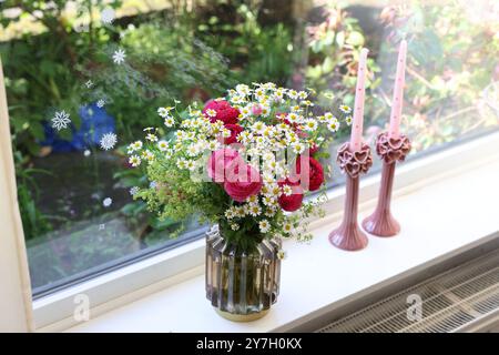 Wunderschöne Ranunkelblumen und Kamillen in Vase auf Fensterbank drinnen Stockfoto