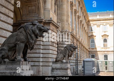 Budapest, Ungarn. August 2022. Aufnahme der brüllenden Löwenstatuen im Innenhof von Buda Castle auf dem Hügel. Besucher. Stockfoto