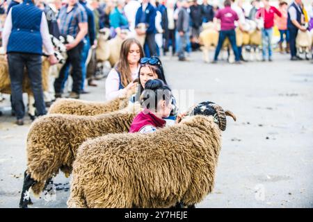 Schafmesse in Masham in North Yorkshire Stockfoto