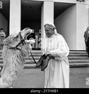 KAMEL AUF LEDERMESSEN IM ALEXANDRA PALACE IN LONDON; 29. MAI 1964 Stockfoto
