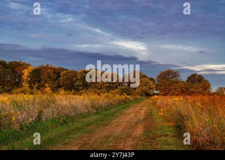 Ein aufhellender Sturm öffnet den Himmel über einem Traktorpfad durch die Prärie bis zum frühen Morgenlicht im Goose Lake Prairie State Park, Kendall County, Illino Stockfoto