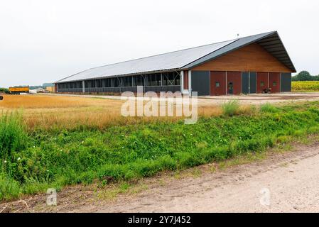 Installation von Solarzellenpaneelen Solarzellenpaneele werden auf dem Dach einer Bullenfleischfarm installiert. Der Umwelt- und Klimawandel ist bedeutend und erfordert eine Umstellung auf erneuerbare Energiequellen wie Solarzellen. Die Landwirte sehen die Möglichkeit, zusätzliche Einnahmen zu erzielen. Goirle / Hilvarenbeek, Niederlande. Goirle / Hilvarenbeek Boerderij de Walhoeve, Boterpad Noord-Brabant Nederland Copyright: XGuidoxKoppesxPhotox Stockfoto