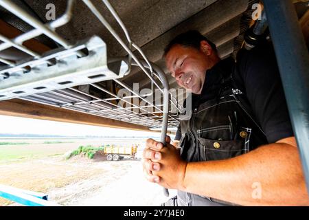 Installation von Solarzellen Elektrohandwerker Installation von Solarzellen auf dem Dach einer landwirtschaftlichen Stierfleischfarm. Umwelt- und Klimaänderungen sind bedeutend und erfordern eine Umstellung auf erneuerbare Energiequellen. Die Landwirte sehen die Möglichkeit, zusätzliche Einnahmen zu erzielen. Goirle / Hilvarenbeek, Niederlande. MRYES Goirle / Hilvarenbeek Boerderij de Walhoeve, Boterpad Noord-Brabant Nederland Copyright: XGuidoxKoppesxPhotox Stockfoto