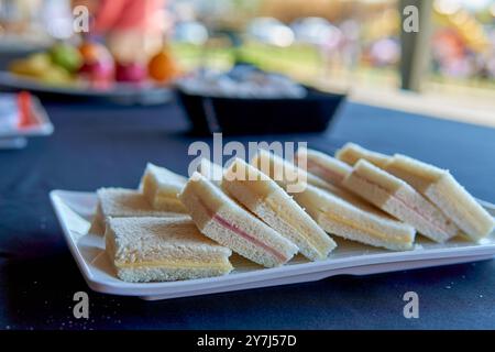Schinken-Käse-Sandwiches de miga, typisch argentinischer Snack auf einem Tisch mit blauer Tischdecke bei einer Tagesveranstaltung im Innenhof. Stockfoto