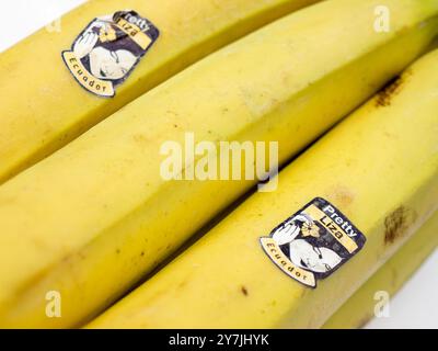 Hübsche Liza Banane. Stockfoto