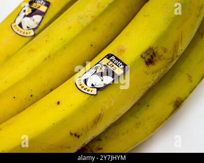 Hübsche Liza Banane. Stockfoto