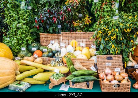 Eine prämierte Ausstellung von Obst und Gemüse auf der Malvern Autumn Show 2024. Stockfoto